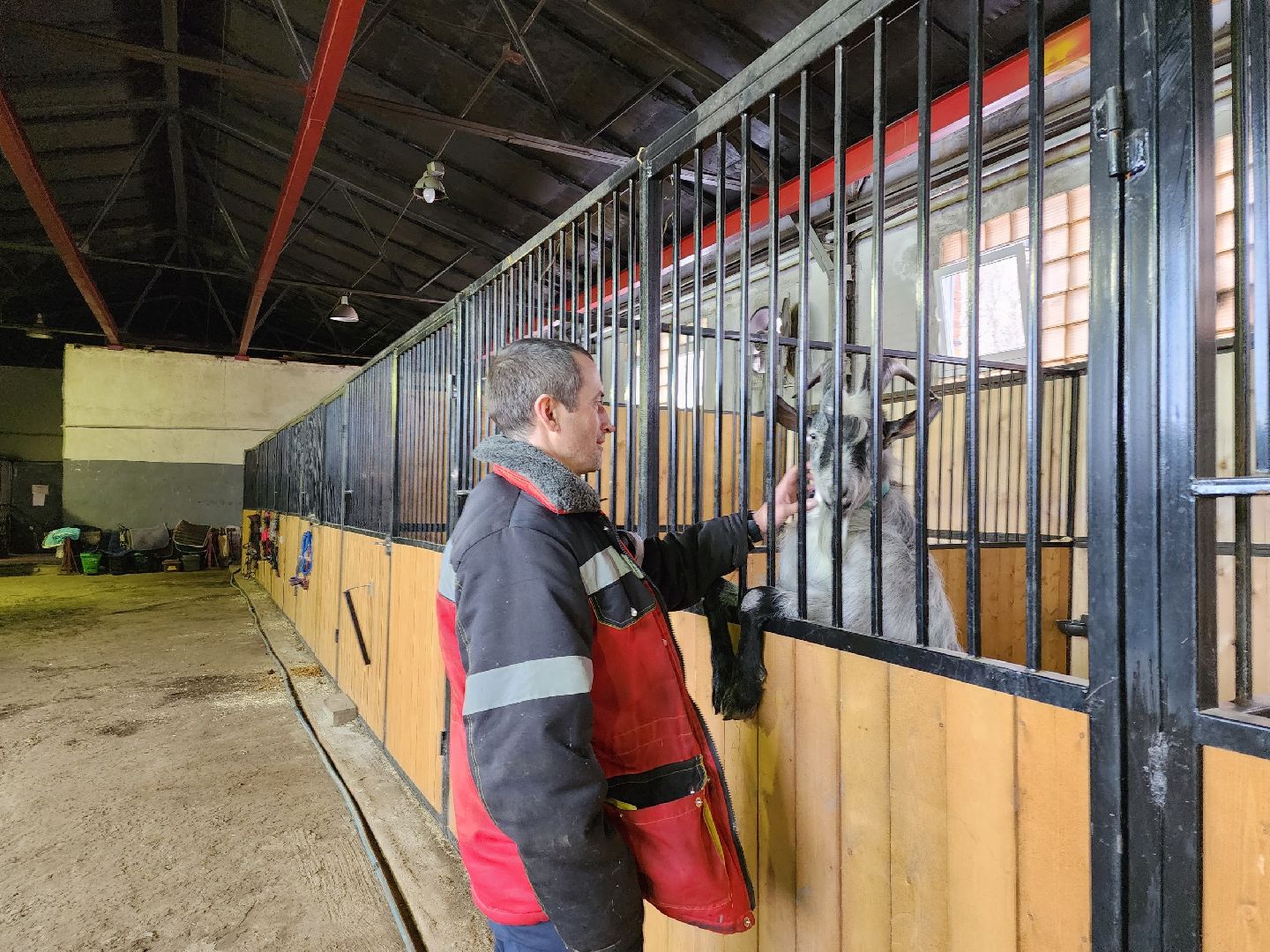 чехов, благоустройство, ферма, завод, энергомаш, конюшня,