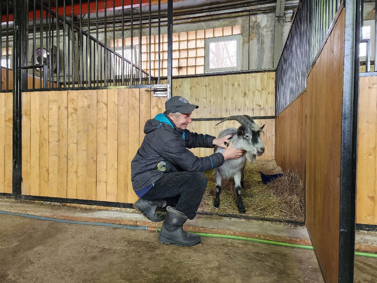 чехов, благоустройство, ферма, завод, энергомаш, конюшня,