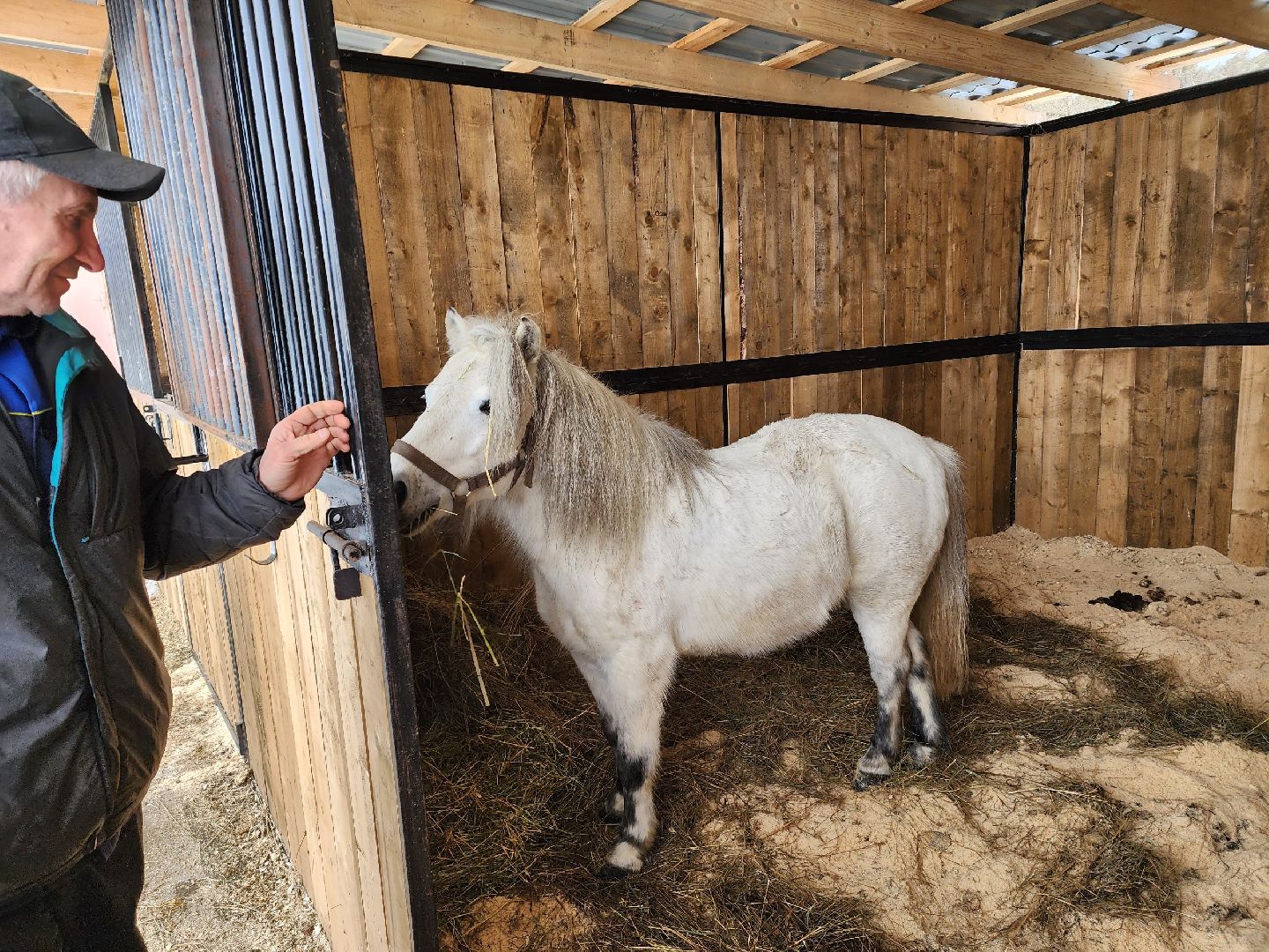 чехов, благоустройство, ферма, завод, энергомаш, конюшня,
