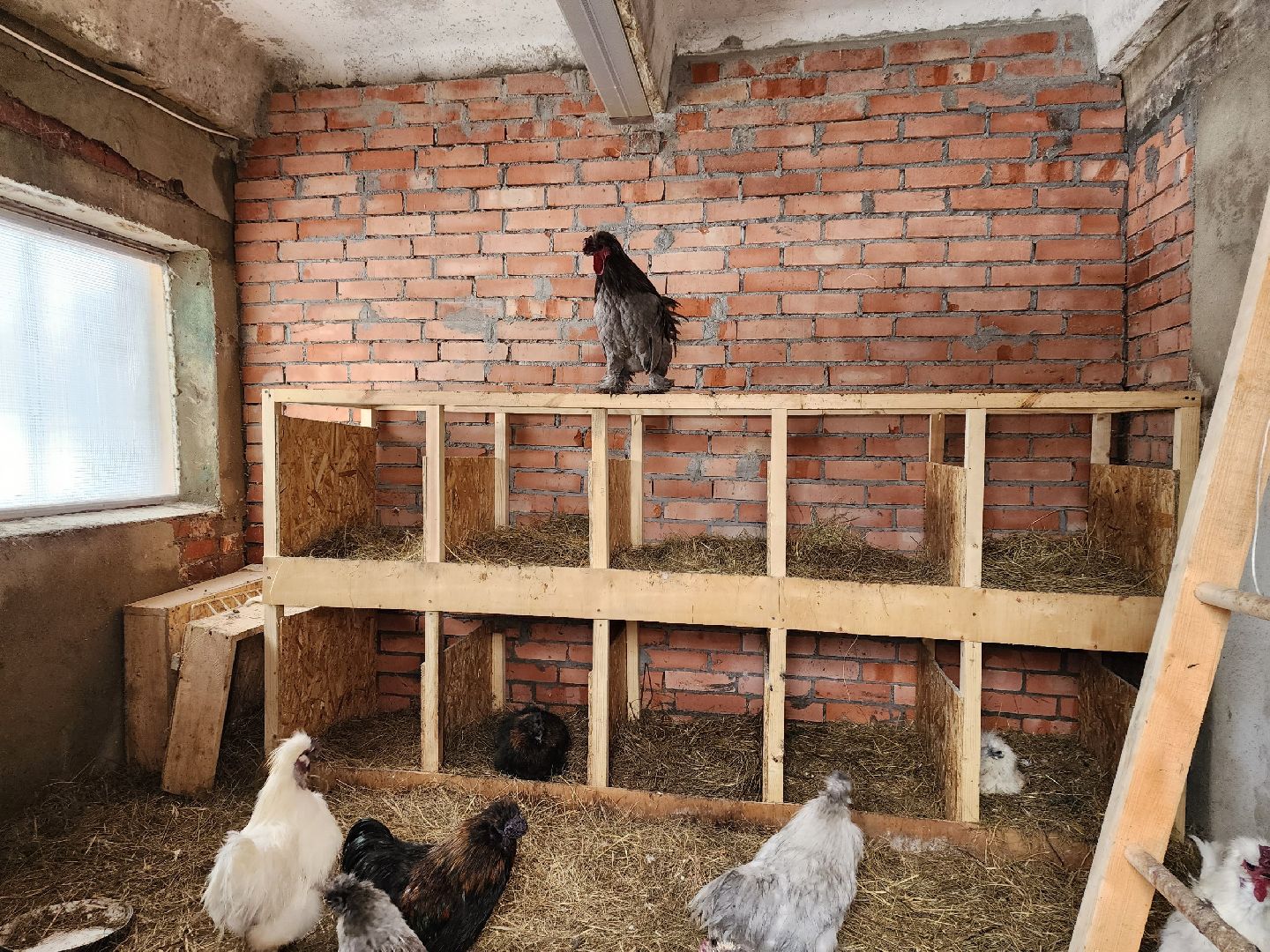 чехов, благоустройство, ферма, завод, энергомаш, конюшня,