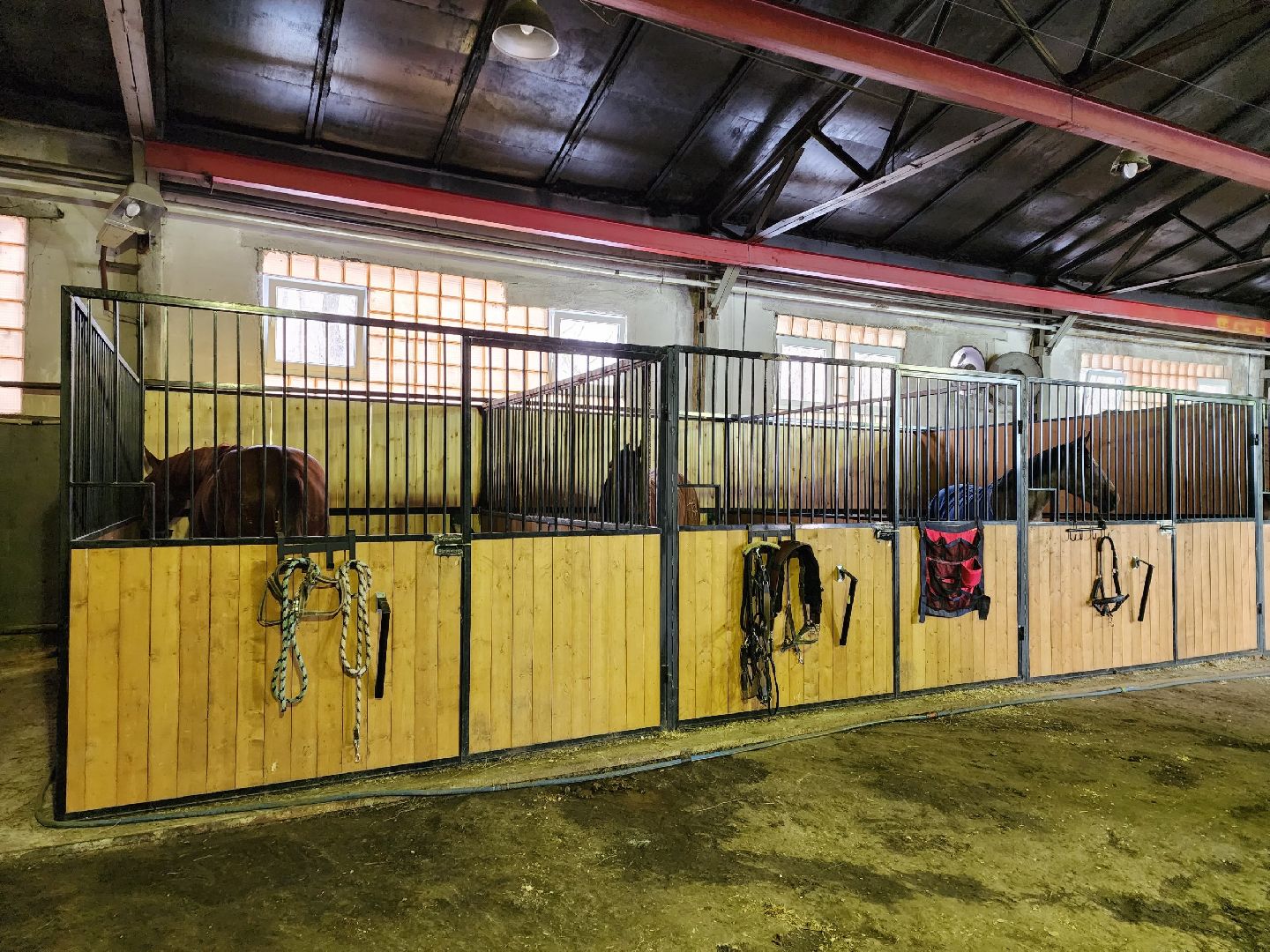 чехов, благоустройство, ферма, завод, энергомаш, конюшня,