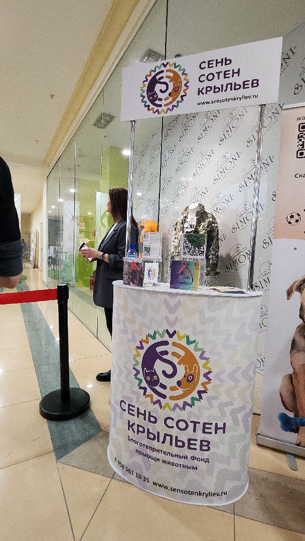 электросталь, мой город, жители города, питомник, собаки, торговый центр, благотворительность,