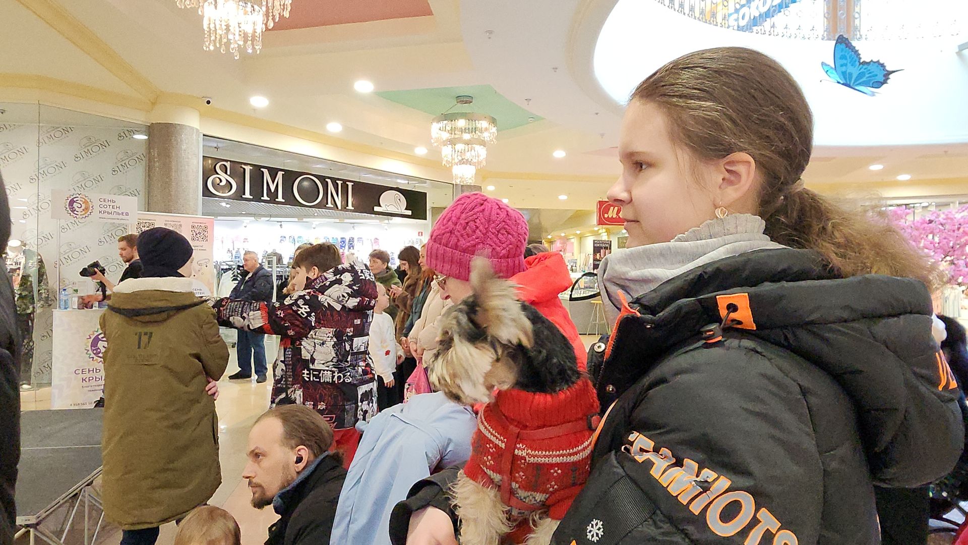 электросталь, мой город, жители города, питомник, собаки, торговый центр, благотворительность,