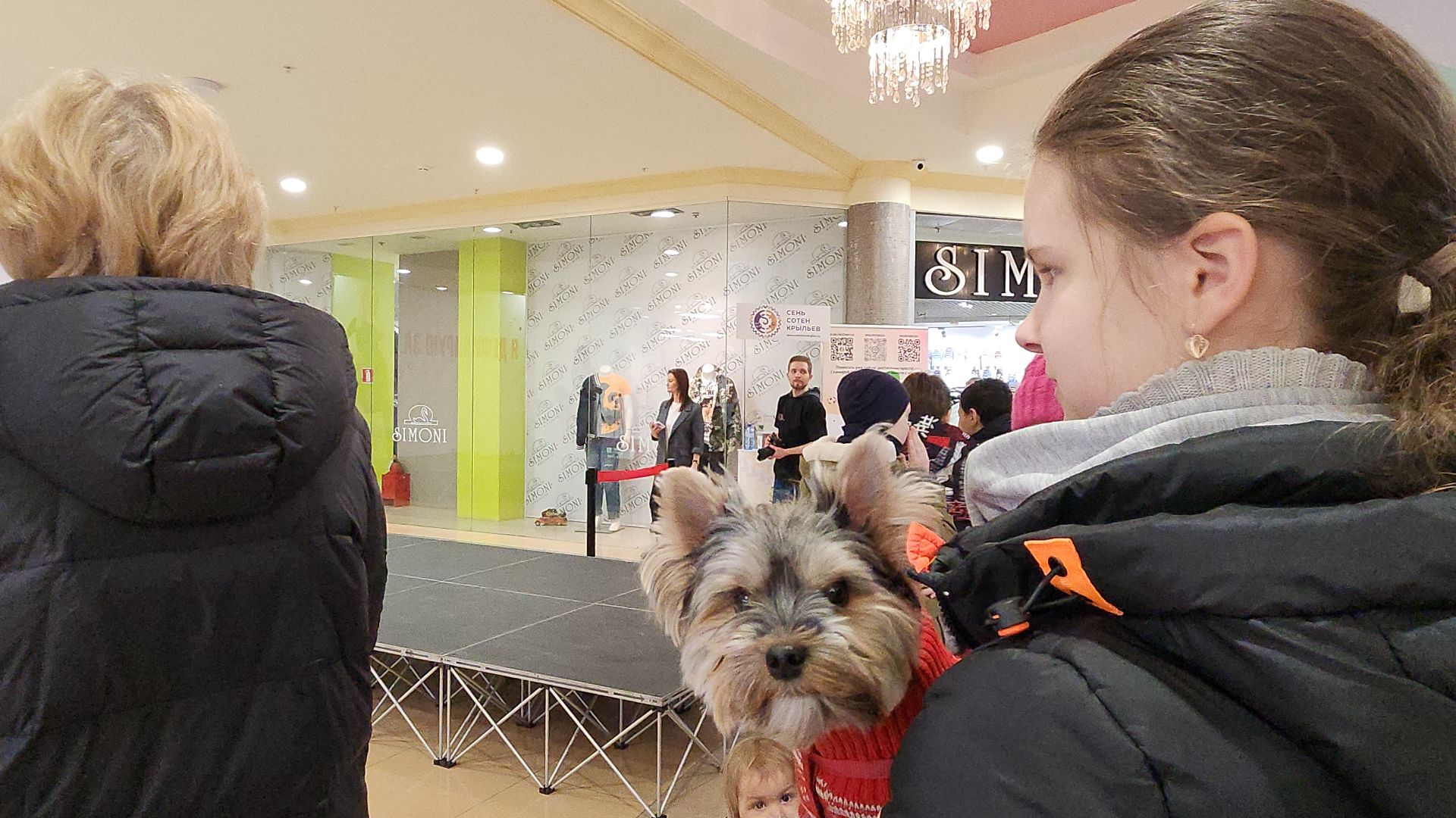 электросталь, мой город, жители города, питомник, собаки, торговый центр, благотворительность,
