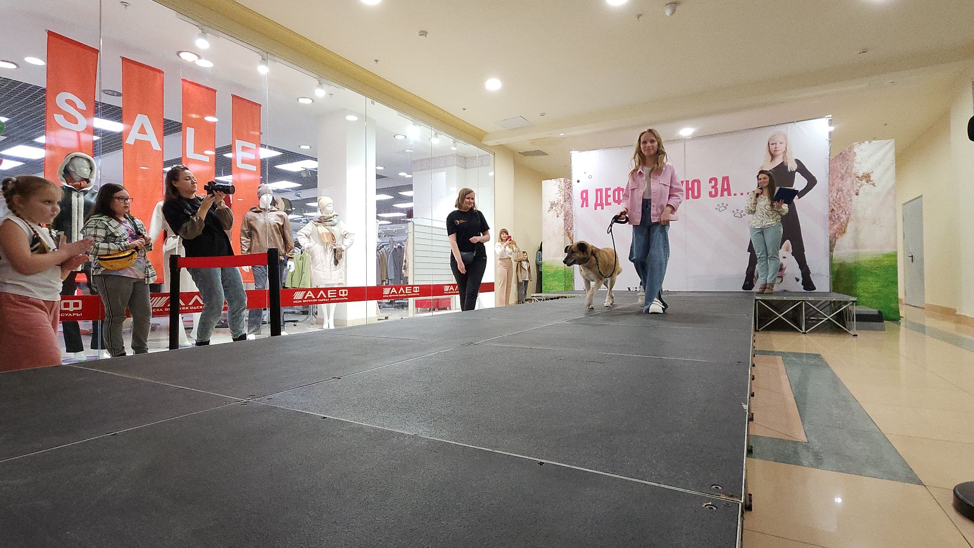 электросталь, мой город, жители города, питомник, собаки, торговый центр, благотворительность,