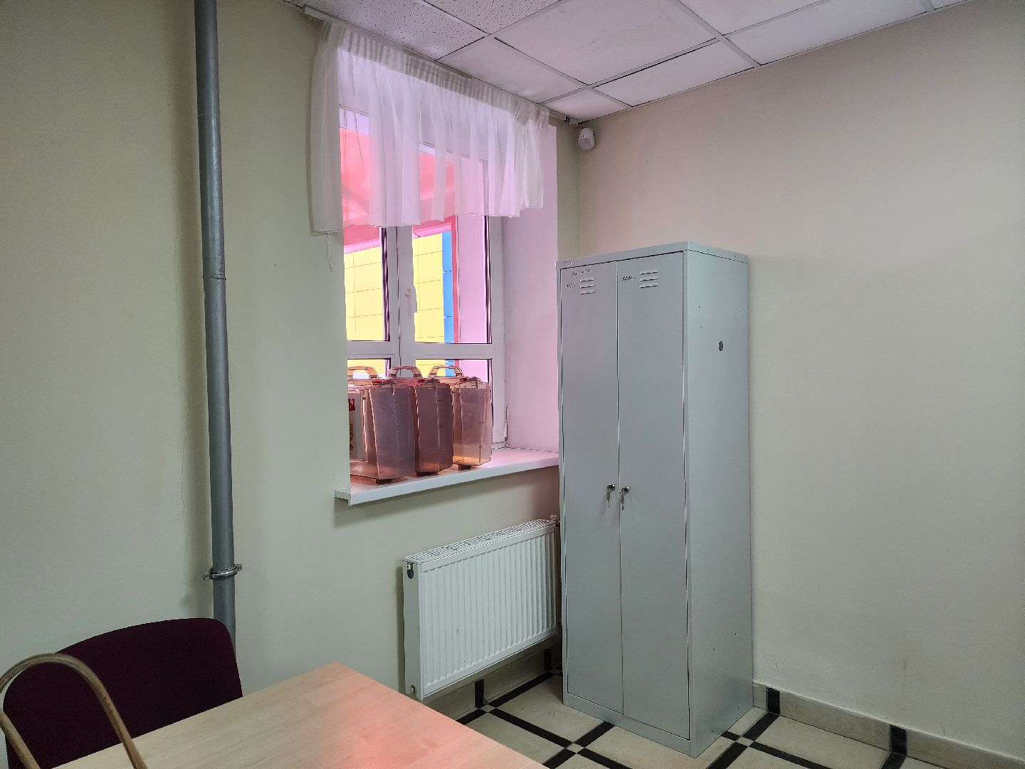 пушкино, выборы президента 2024, голосование, избирательные участки,