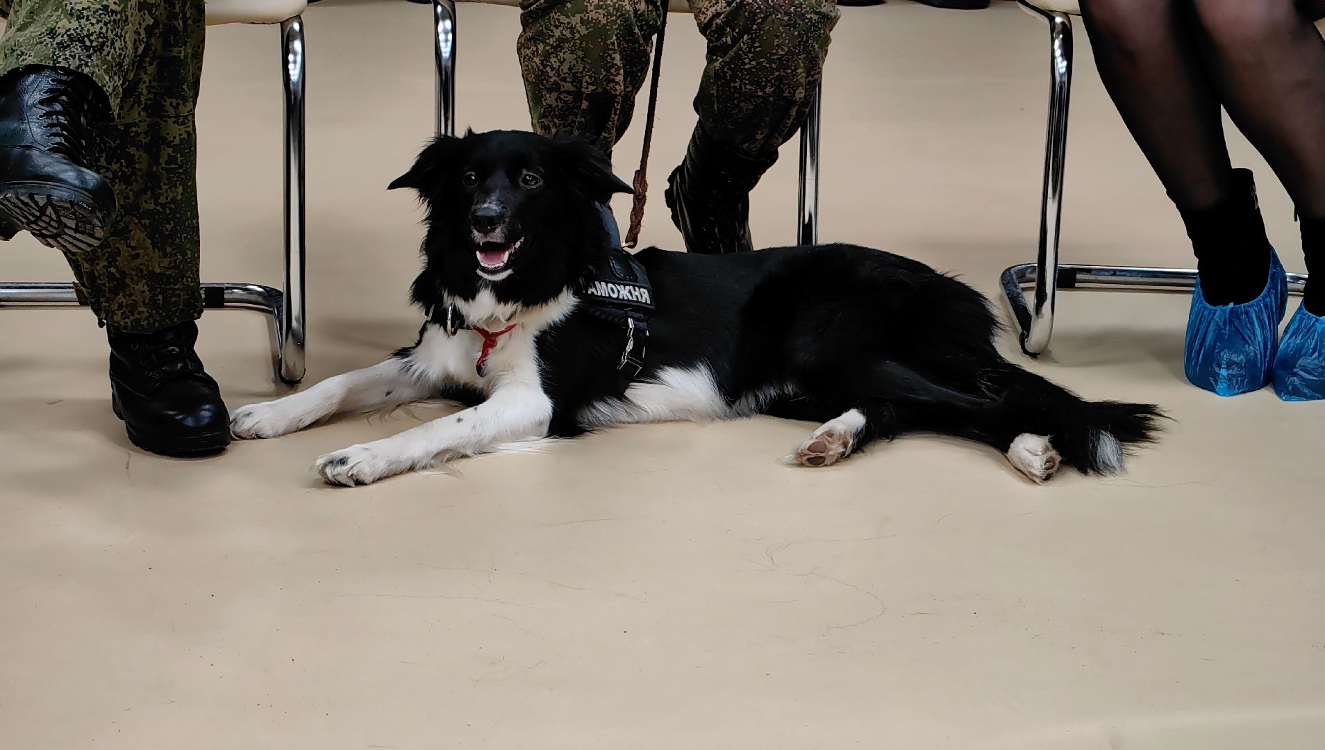 профориентация для школьников, профессия, встреча, диалоги с героями,