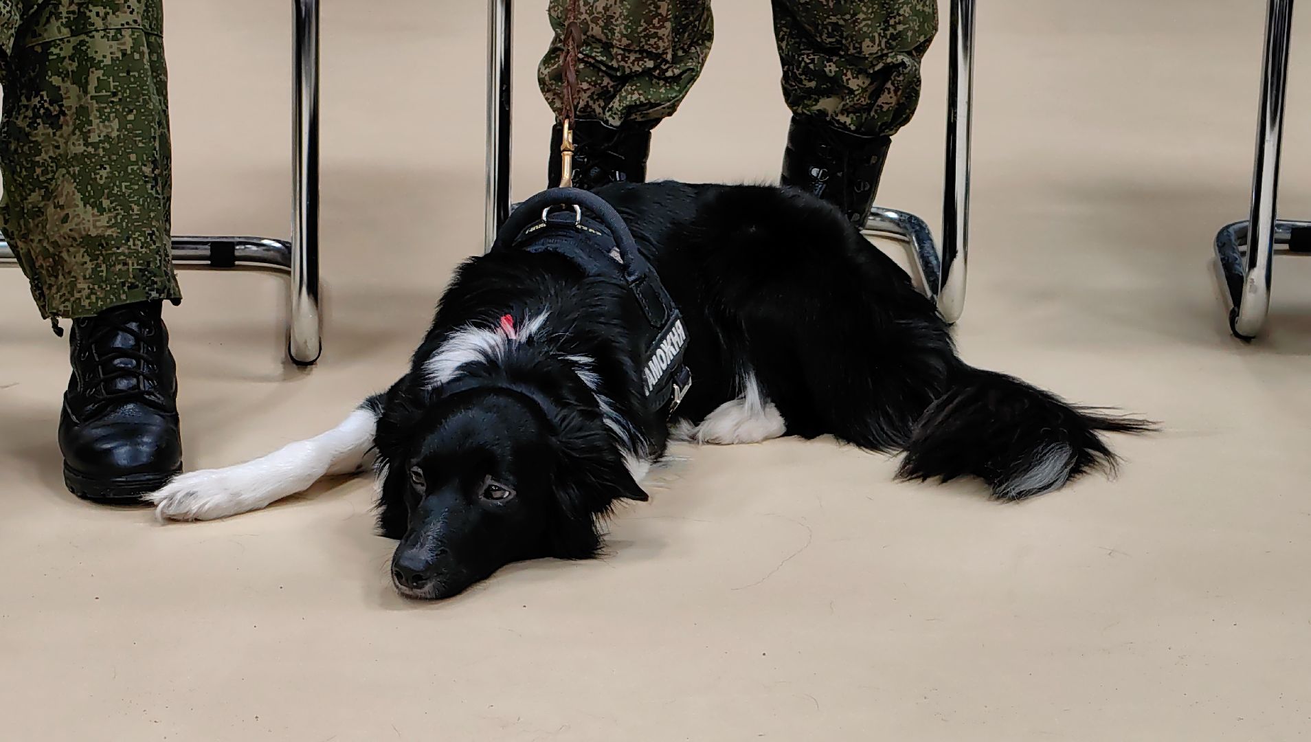 профориентация для школьников, профессия, встреча, диалоги с героями,