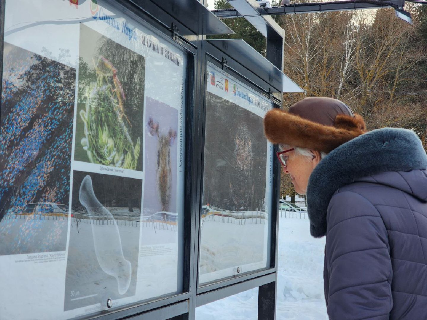 пущино, наука, фото, выставка, биология,