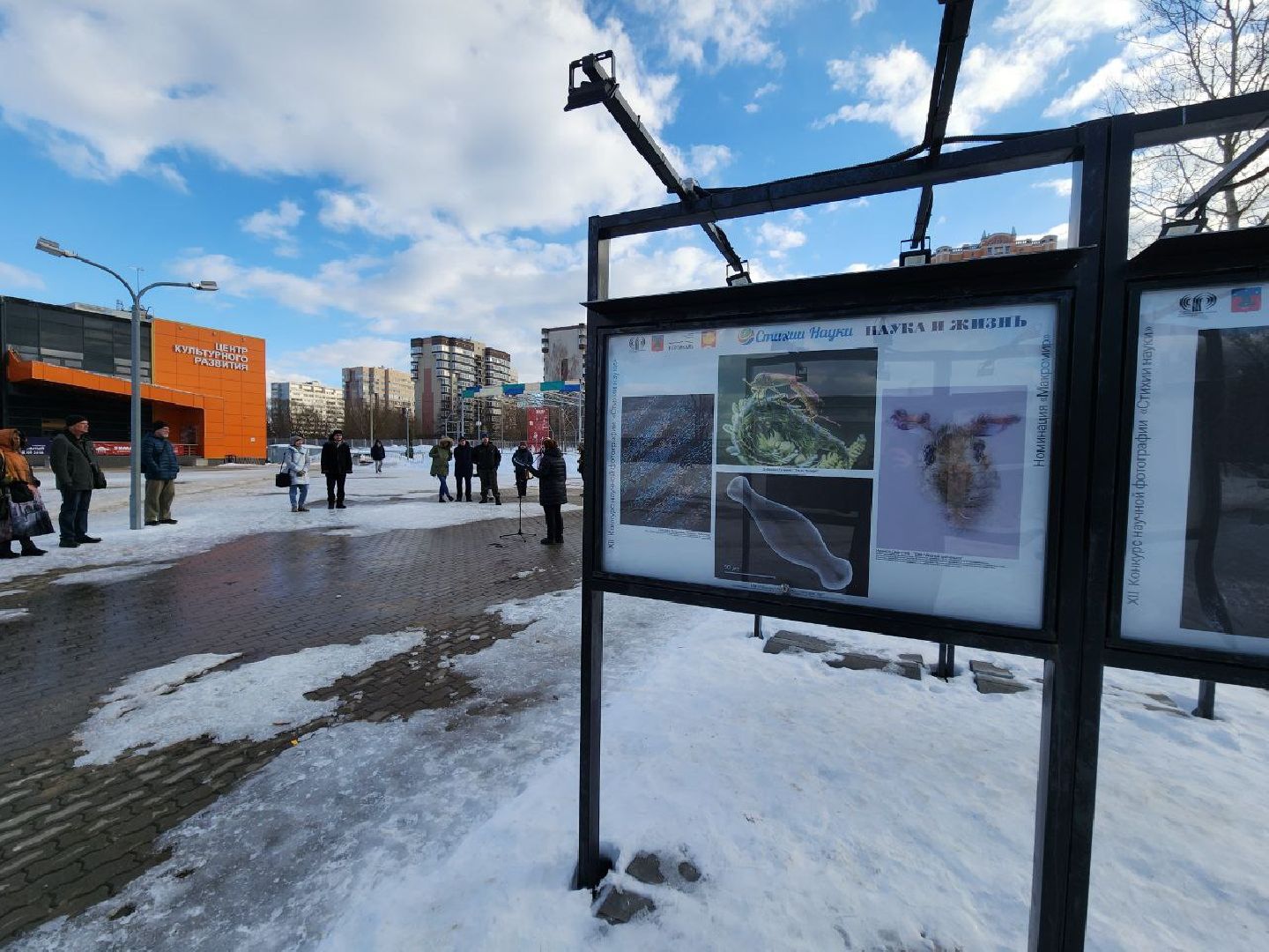 пущино, наука, фото, выставка, биология,