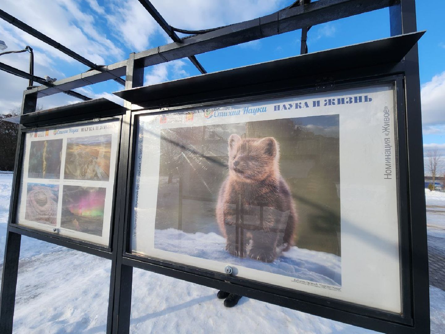 пущино, наука, фото, выставка, биология,