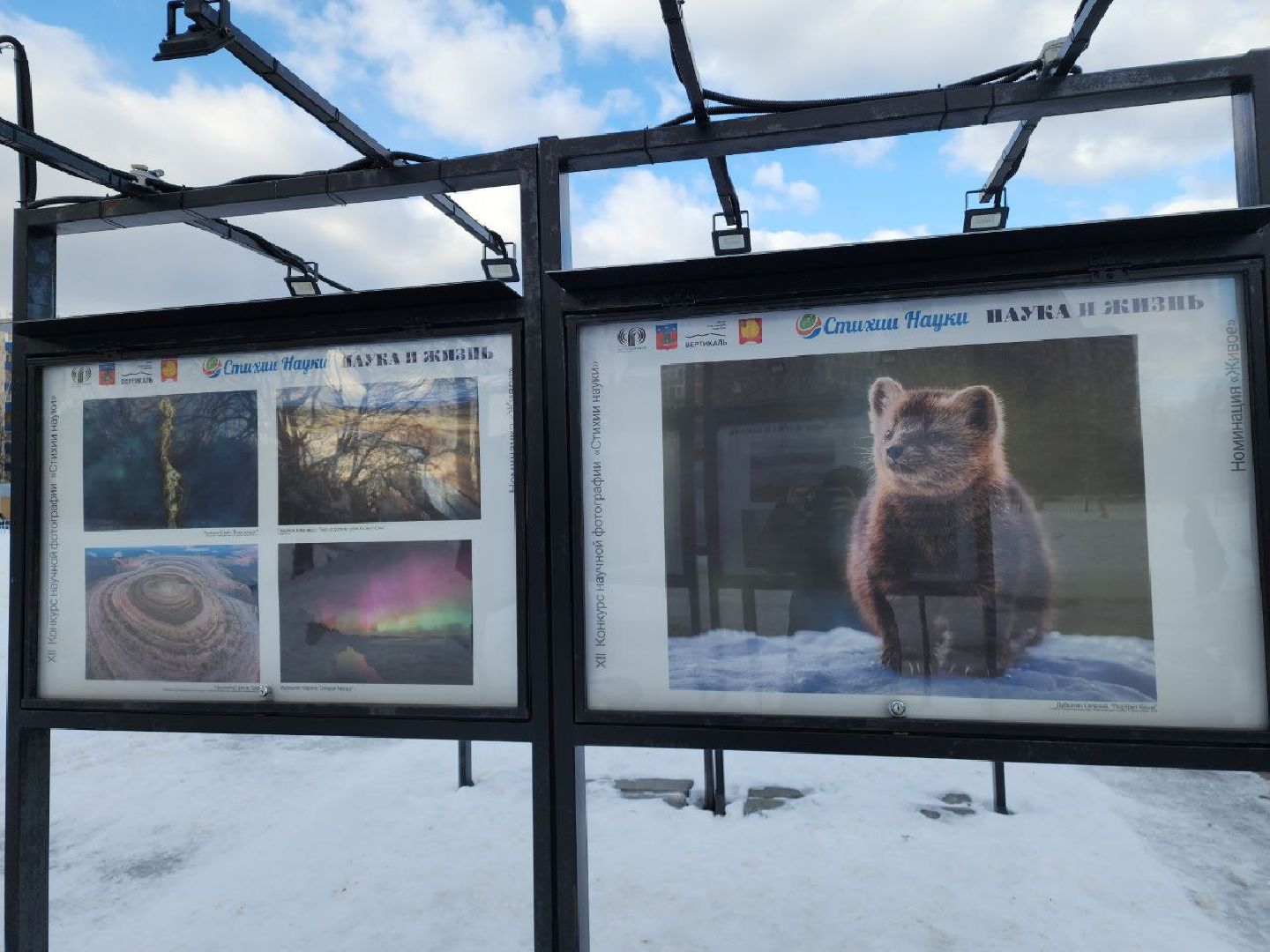 пущино, наука, фото, выставка, биология,