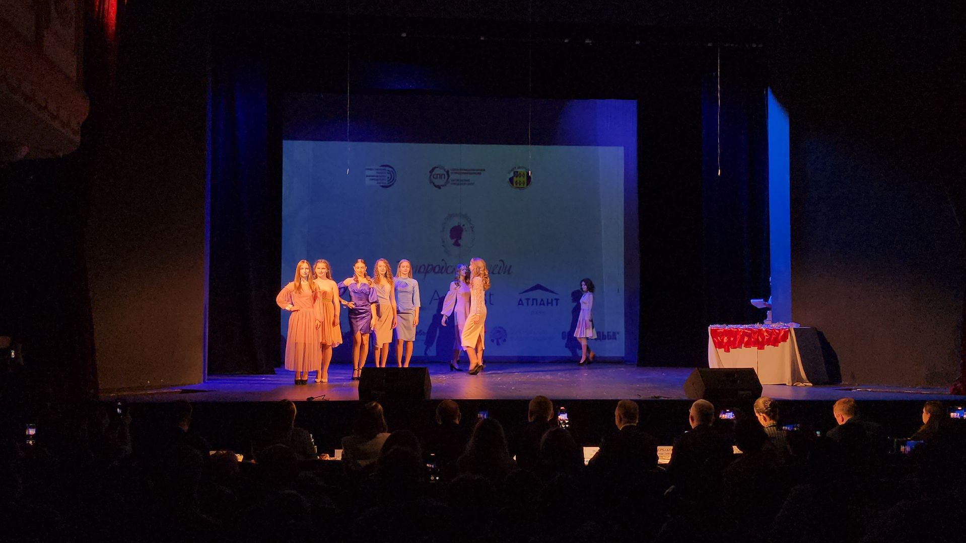 Общественная палата, социальный проект, Богородская леди, Ногинск, Богородский городской округ,