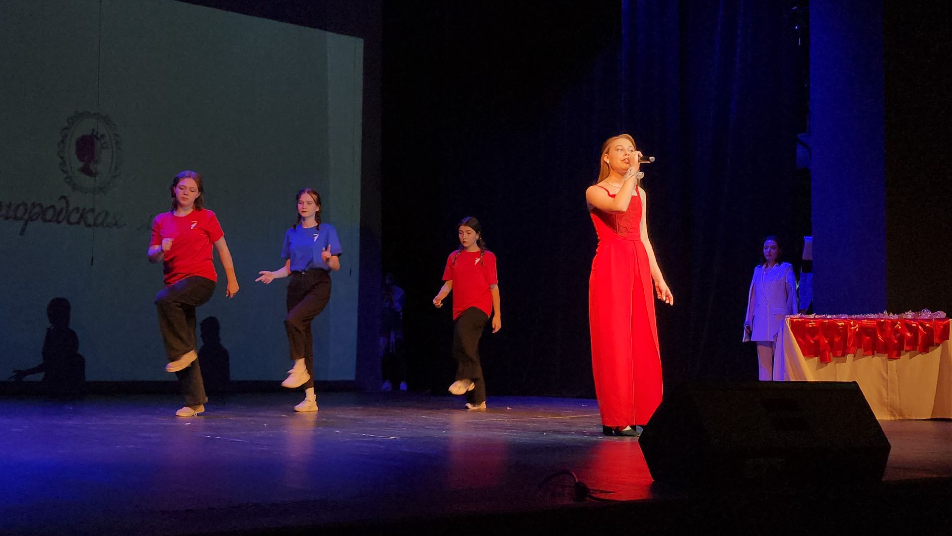 Общественная палата, социальный проект, Богородская леди, Ногинск, Богородский городской округ,