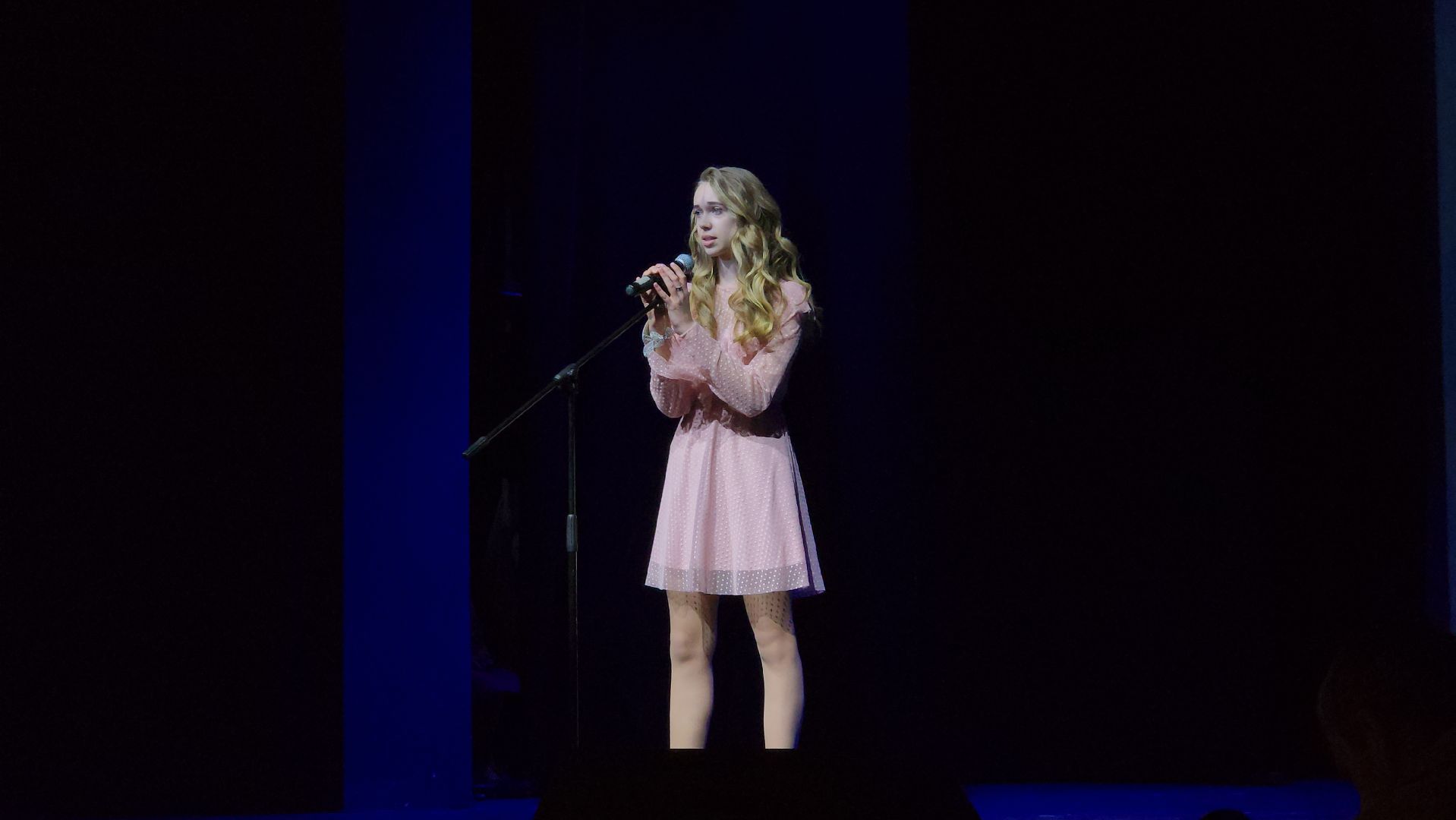 Общественная палата, социальный проект, Богородская леди, Ногинск, Богородский городской округ,