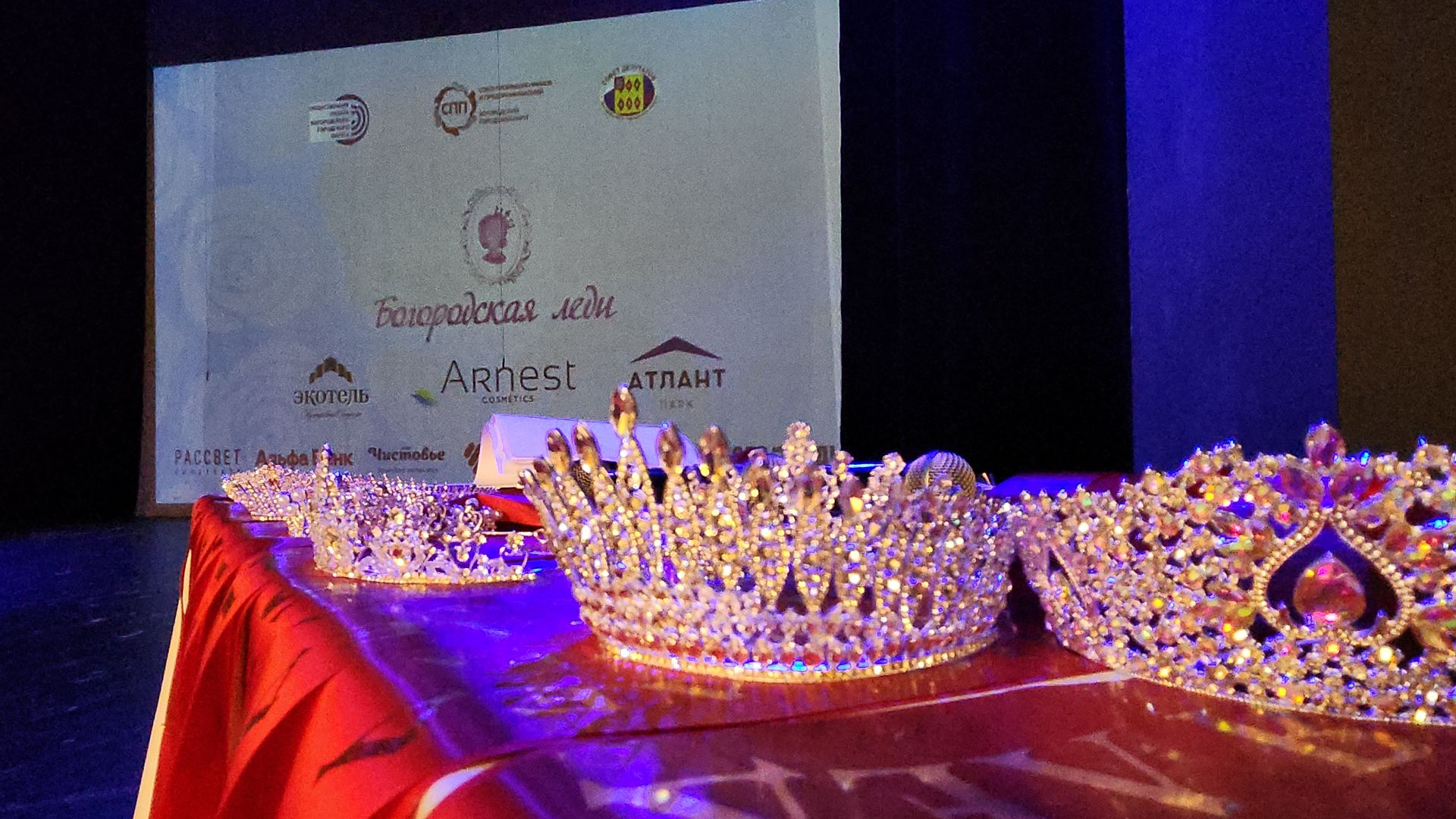 Общественная палата, социальный проект, Богородская леди, Ногинск, Богородский городской округ,