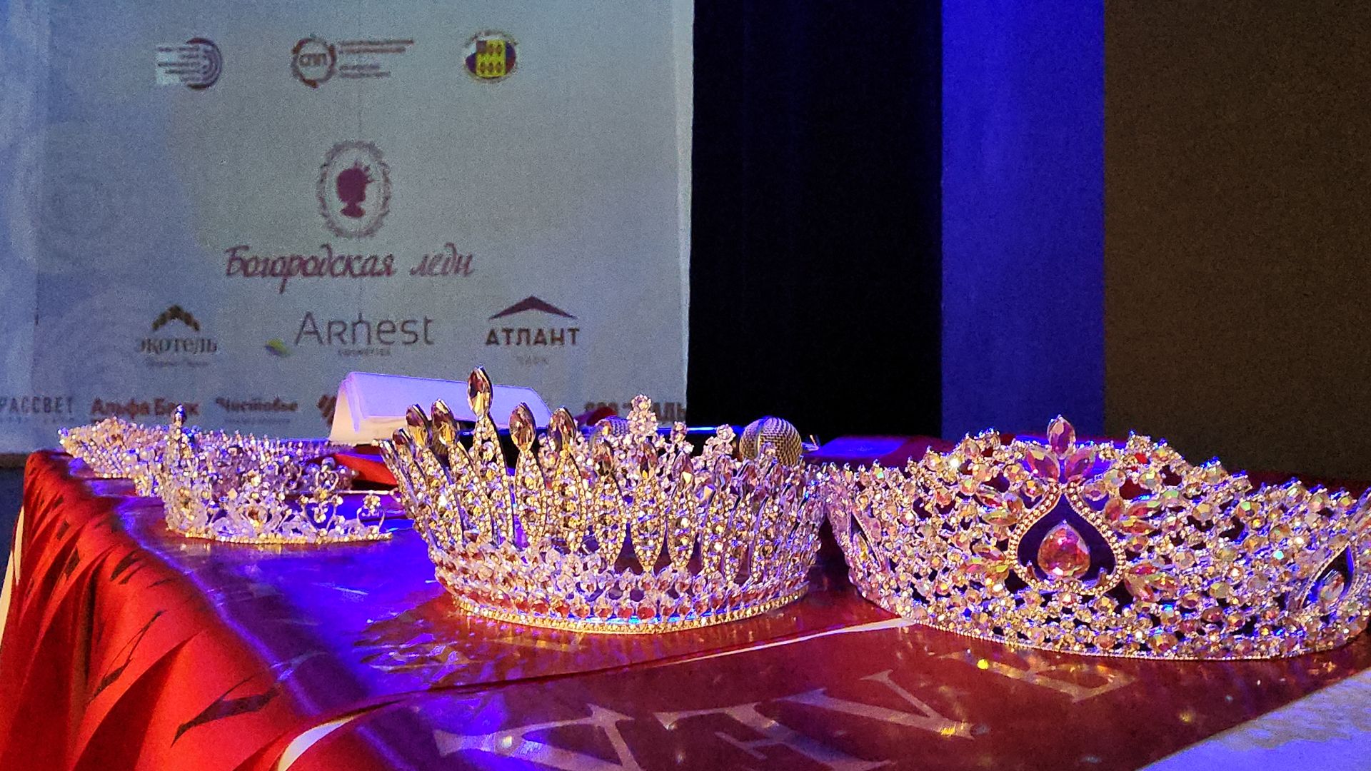 Общественная палата, социальный проект, Богородская леди, Ногинск, Богородский городской округ,