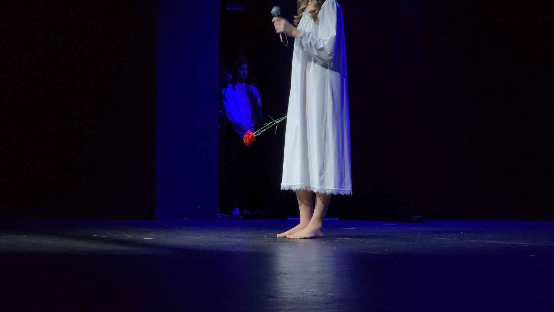 Общественная палата, социальный проект, Богородская леди, Ногинск, Богородский городской округ,