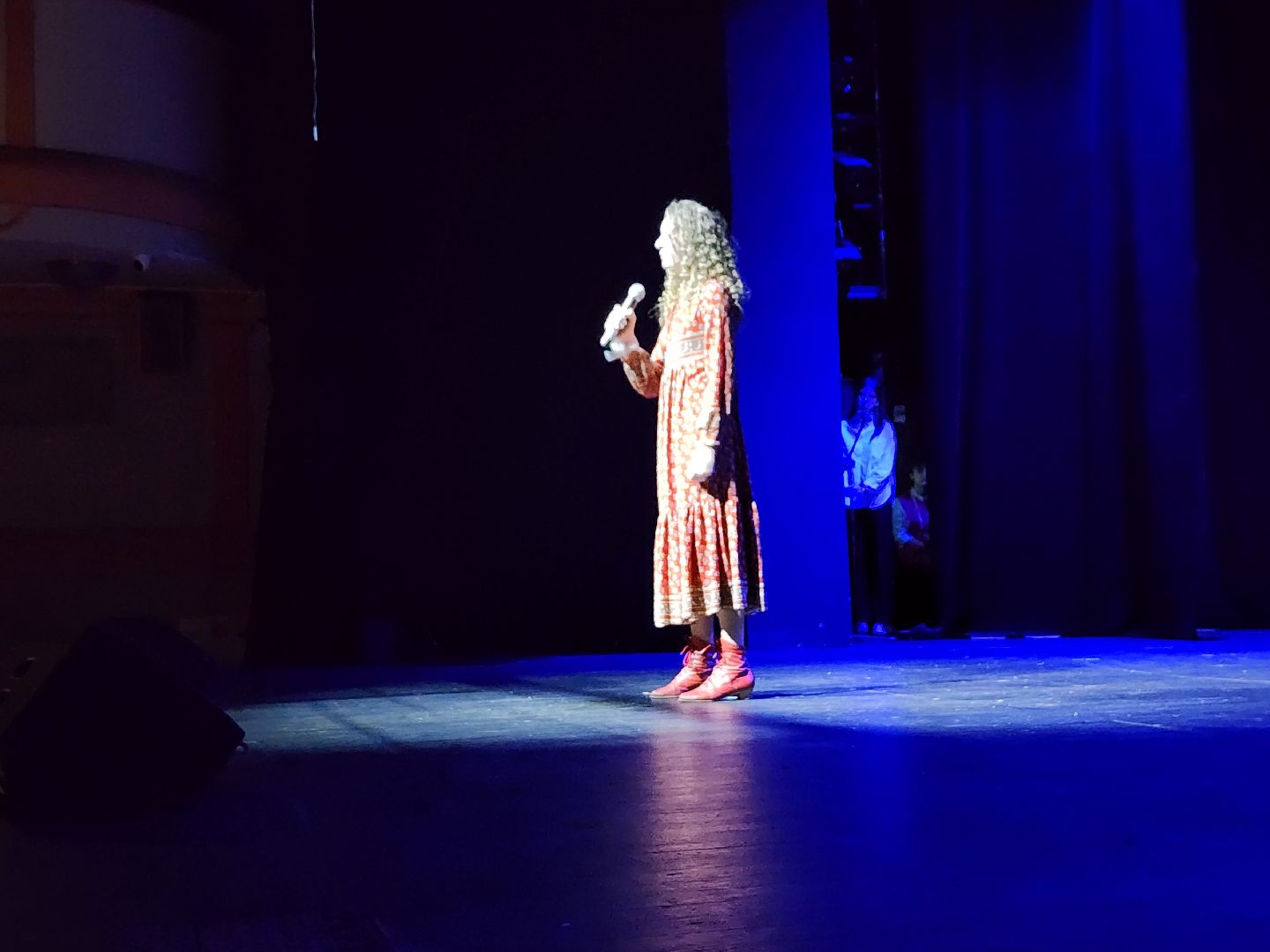 Общественная палата, социальный проект, Богородская леди, Ногинск, Богородский городской округ,