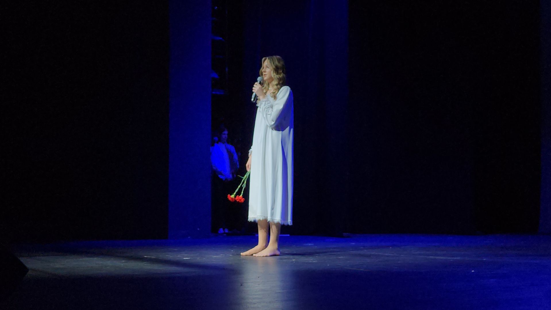 Общественная палата, социальный проект, Богородская леди, Ногинск, Богородский городской округ,