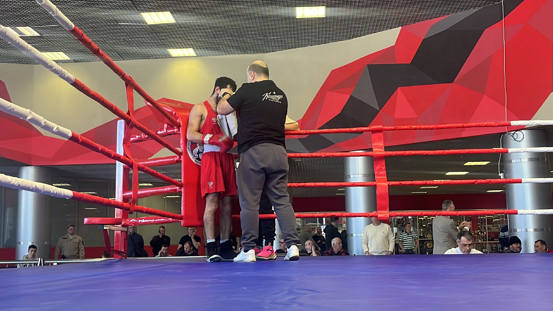 соревнования, соревнования по боксу, боксеры,