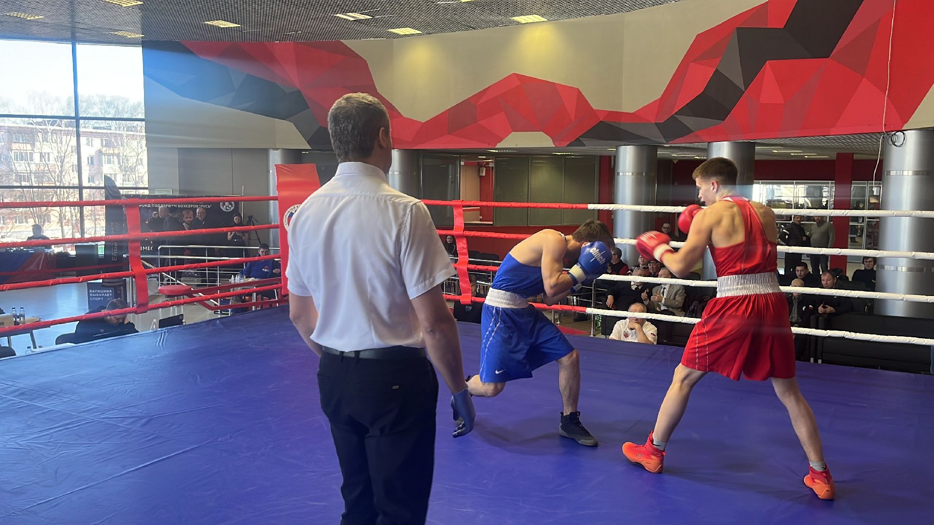 соревнования, соревнования по боксу, боксеры,
