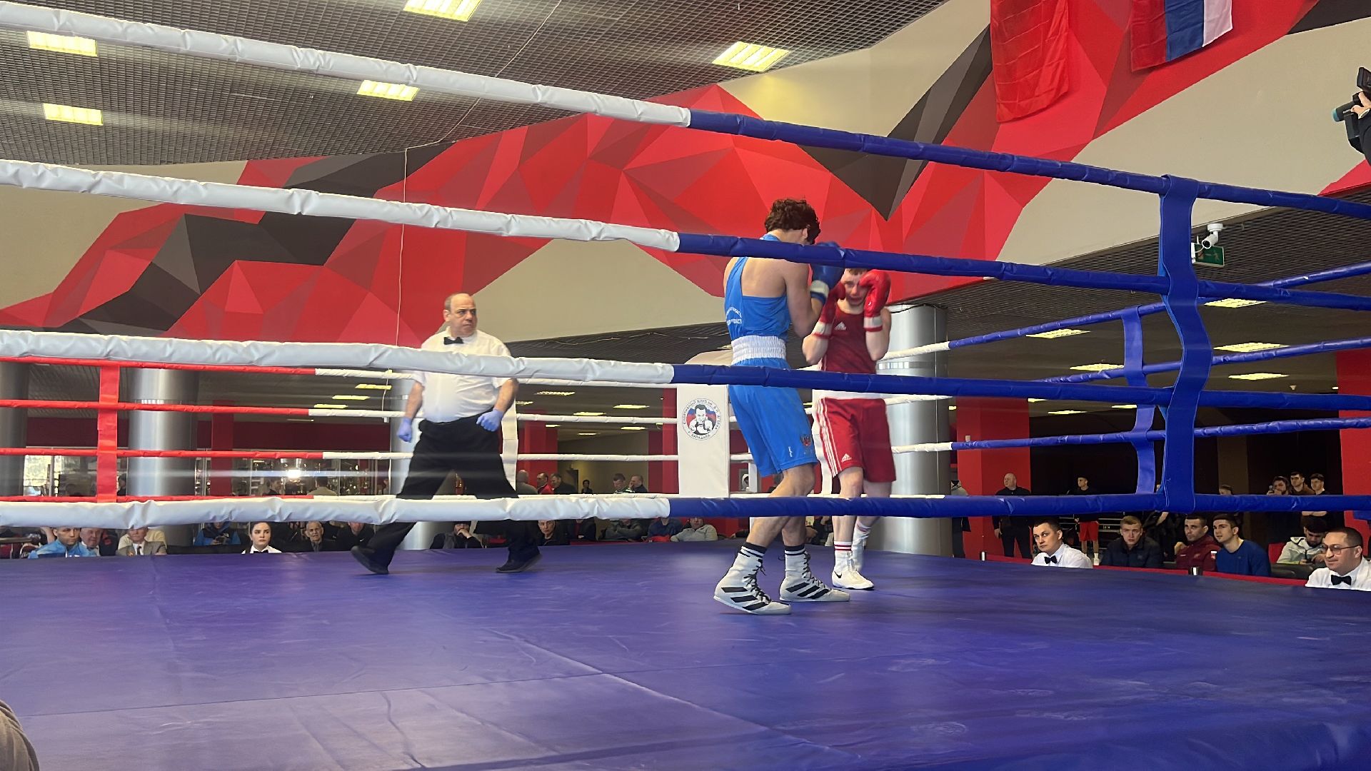 соревнования, соревнования по боксу, боксеры,