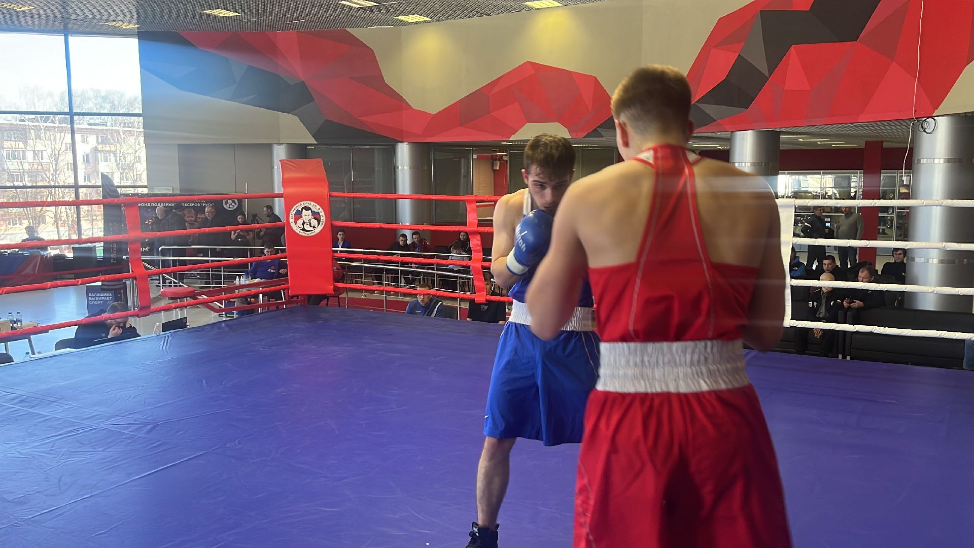 соревнования, соревнования по боксу, боксеры,