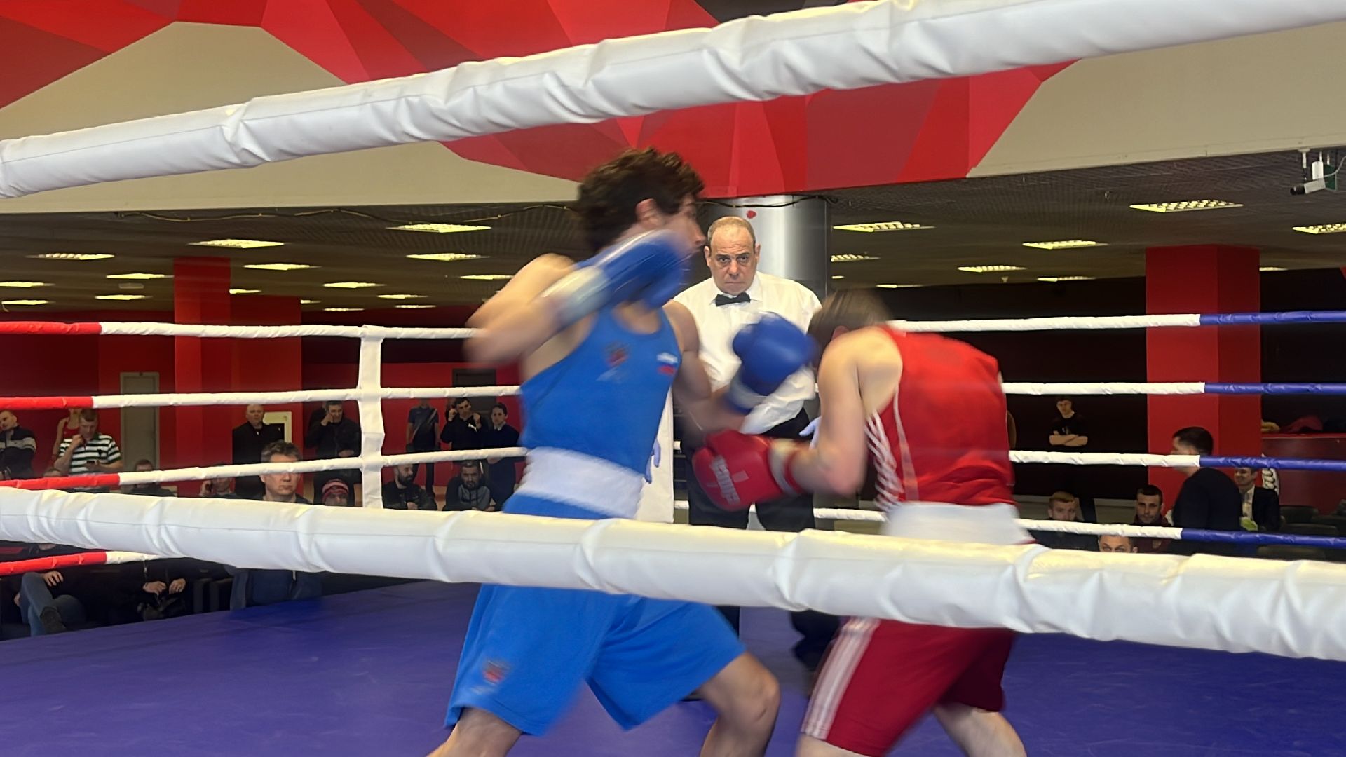 соревнования, соревнования по боксу, боксеры,