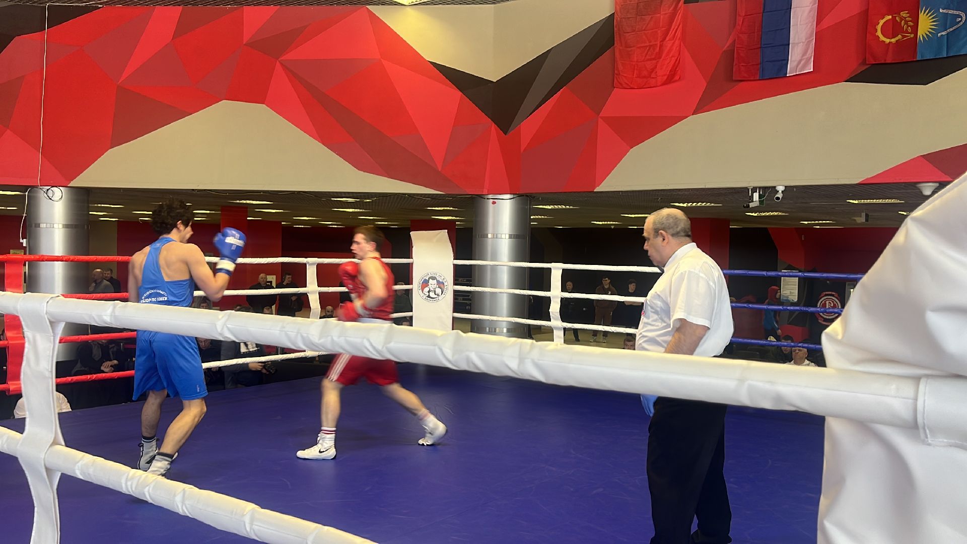 соревнования, соревнования по боксу, боксеры,
