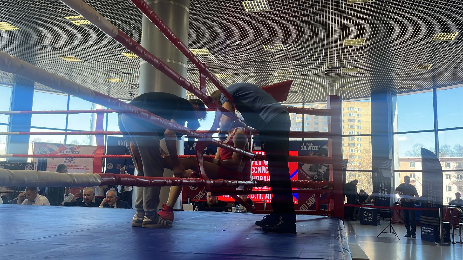 соревнования, соревнования по боксу, боксеры,