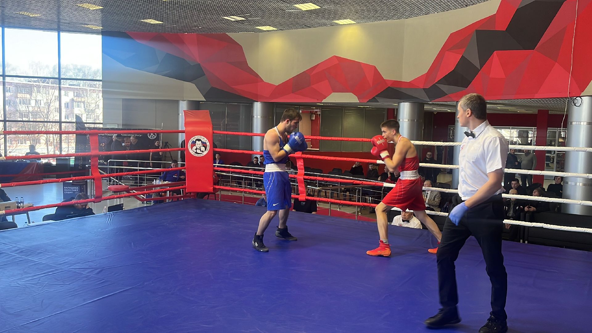 соревнования, соревнования по боксу, боксеры,