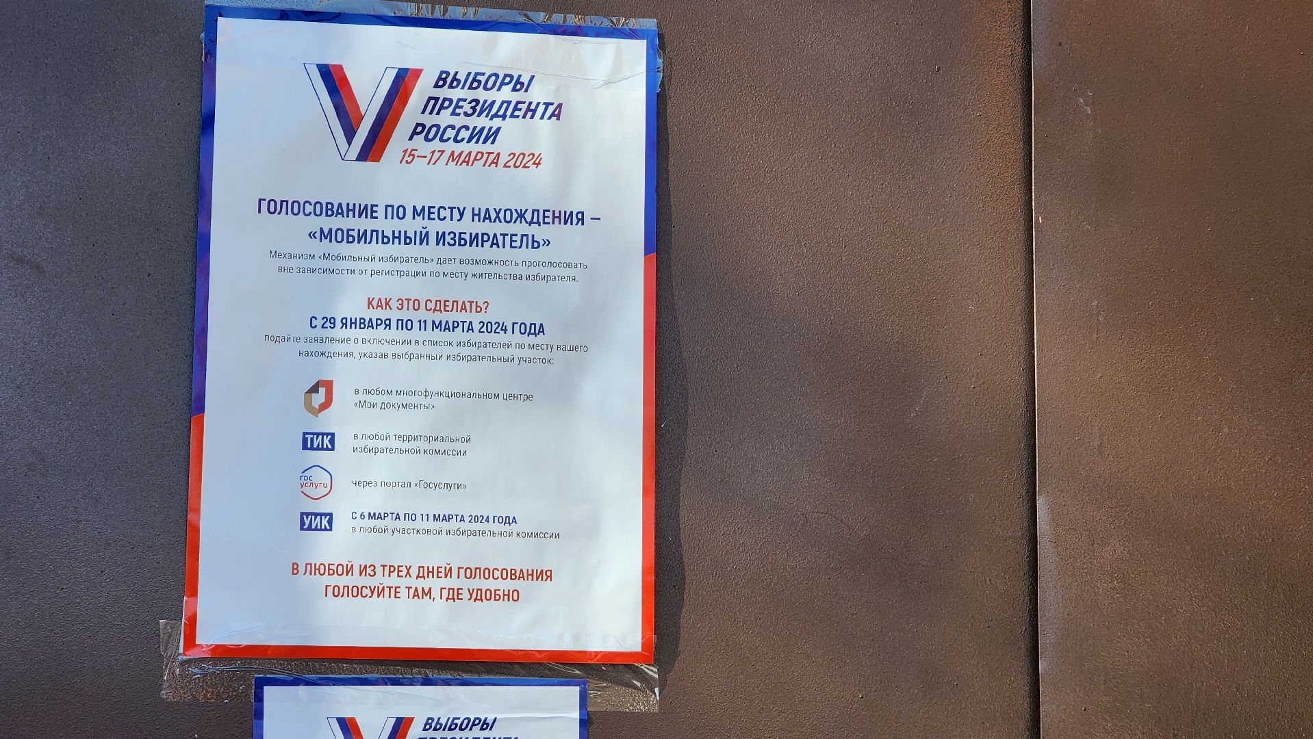 Егорьевск, Подмосковье, Московская область, Выборы,