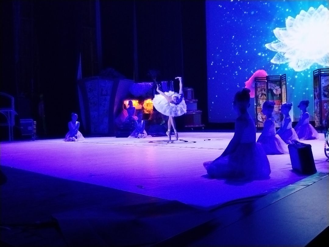 Анастасия Волочкова, Мытищи, танцы, шоу