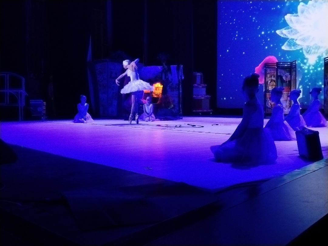 Анастасия Волочкова, Мытищи, танцы, шоу