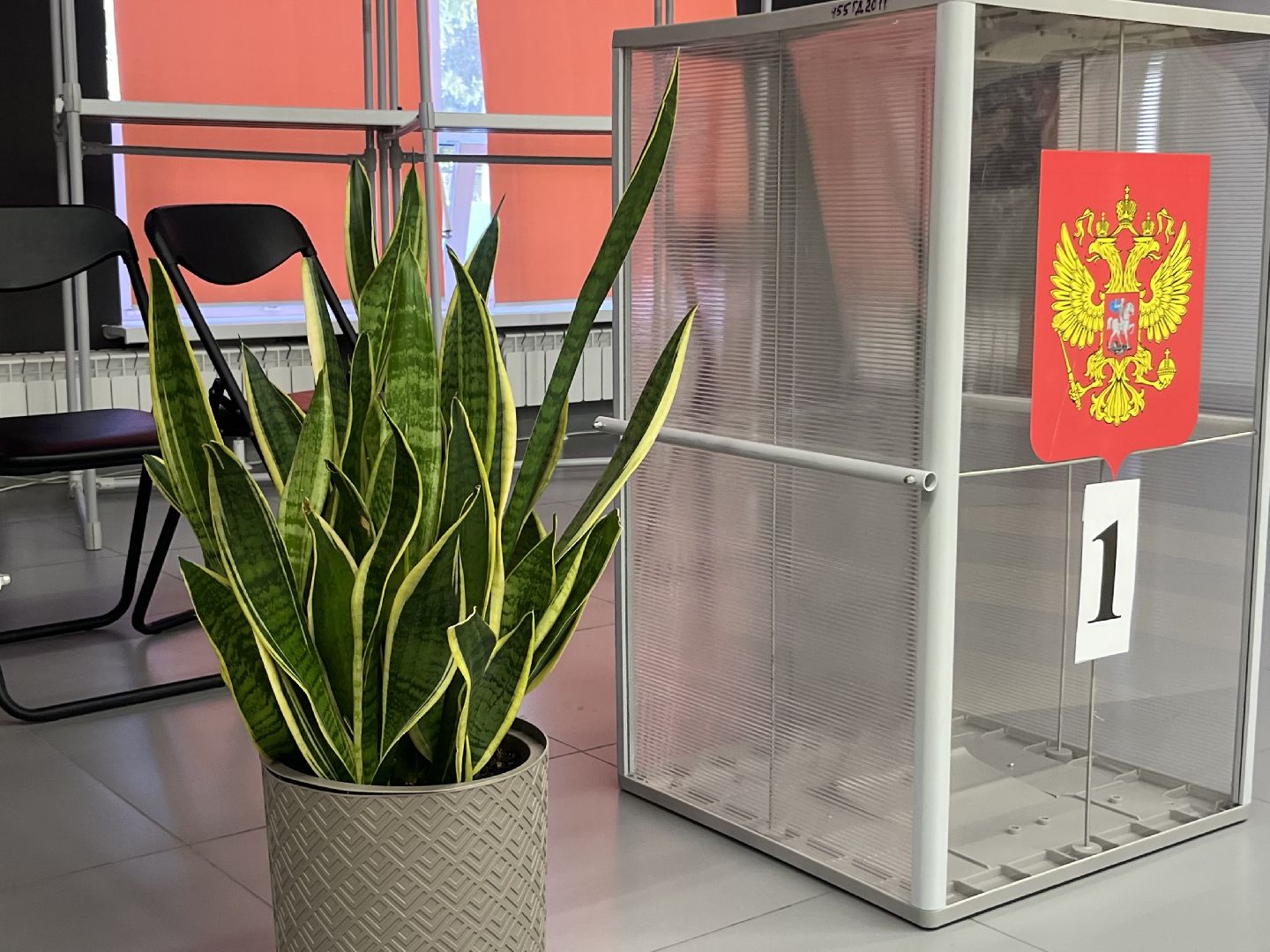 выборы 2024, выборы президента 2024, избирательные участки, уик, ЗАТО Молодежный,зато молодежный,