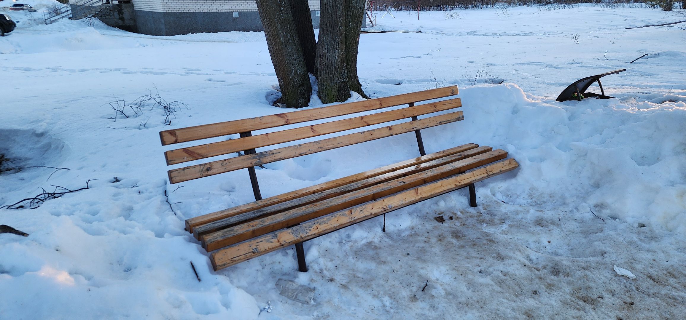 выездная администрация, Туголесский бор, Большая Шатура, диалог с властью, диалог с жителями,