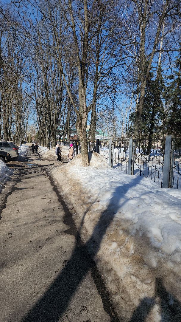 выбооры президента, школа 8, Фрунзе 8, УИК 621, Виталий Матвеев,