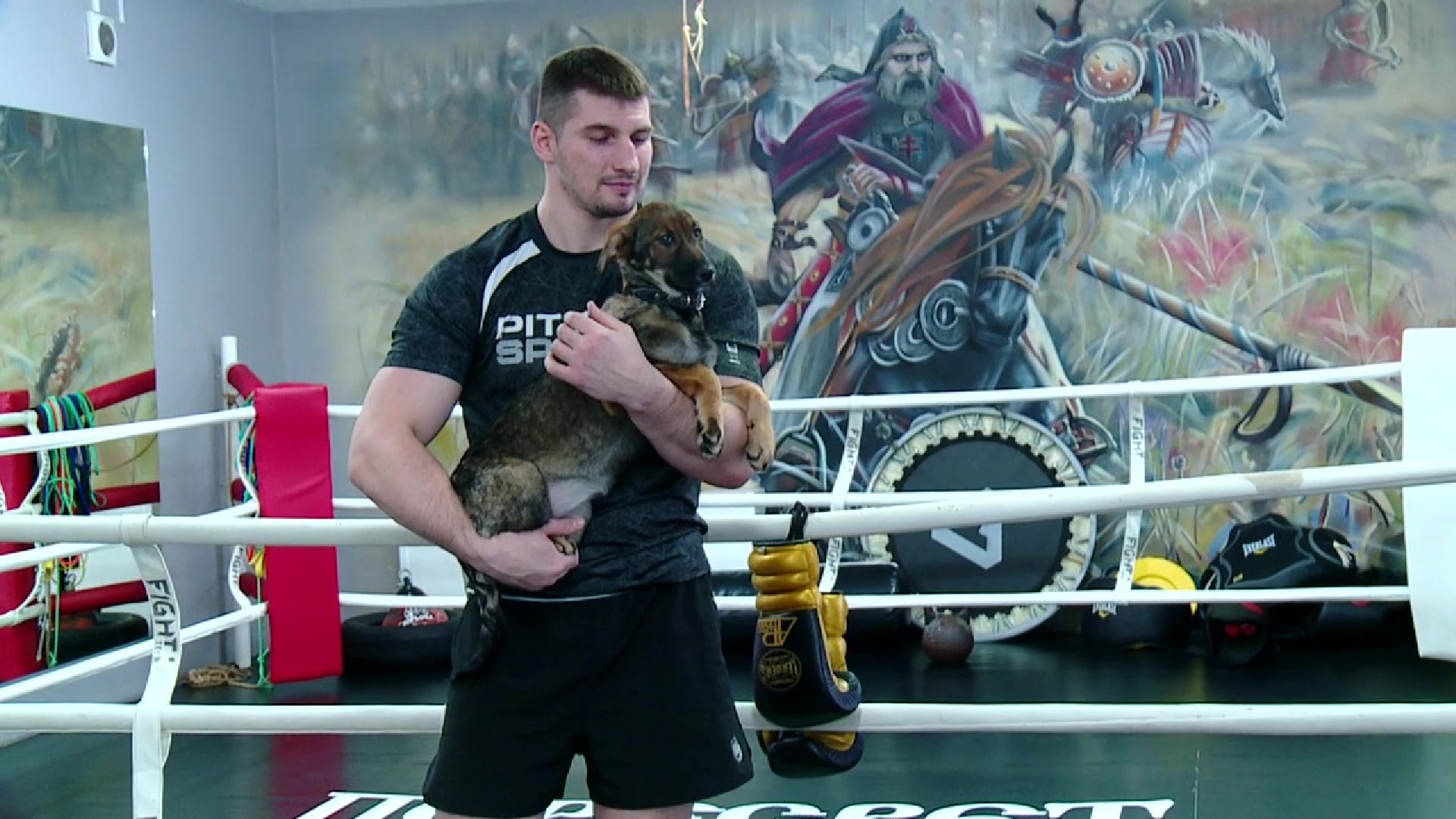 Реутов, бокс, Алексей Папин, победа, пояс, чемпион, спорт,