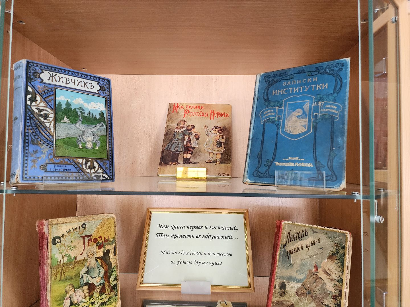 красноармейск, г.о. пушкинский, музей книги, выставка,