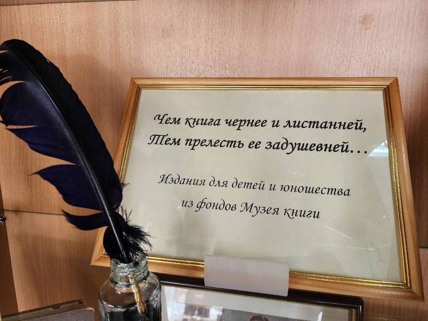 красноармейск, г.о. пушкинский, музей книги, выставка,