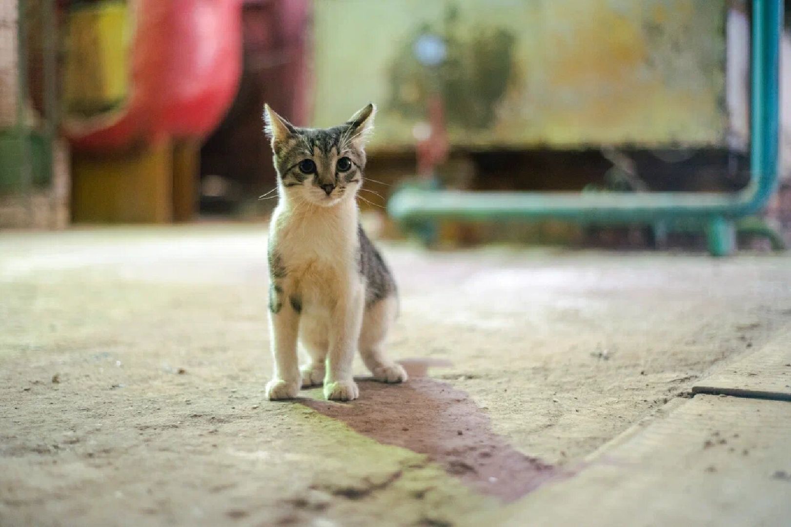 ремонт котельной, ЖКХ, Домодедово,