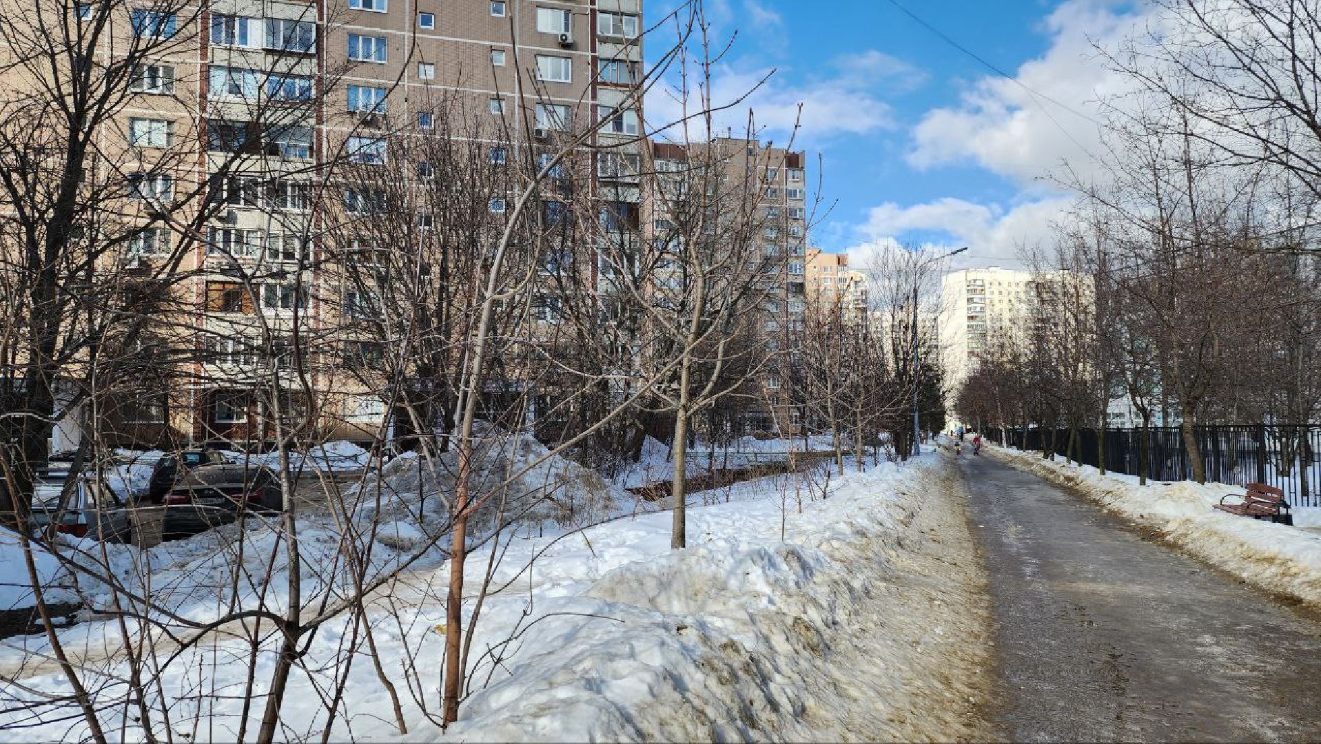 люберцы, глава городского округа люберцы владимир волков, выбооры президента, избирательные участки,