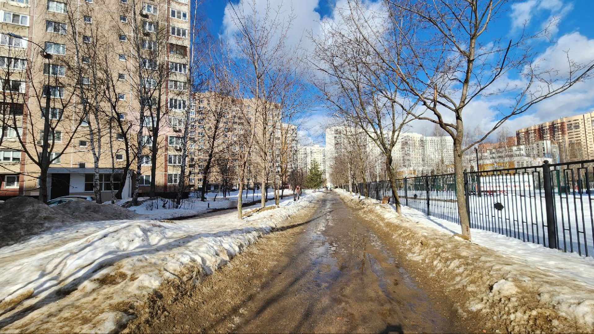 люберцы, глава городского округа люберцы владимир волков, выбооры президента, избирательные участки,