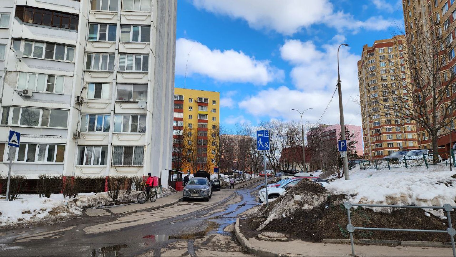 Люберцы, избирательные участки, выборы президента, коибы,