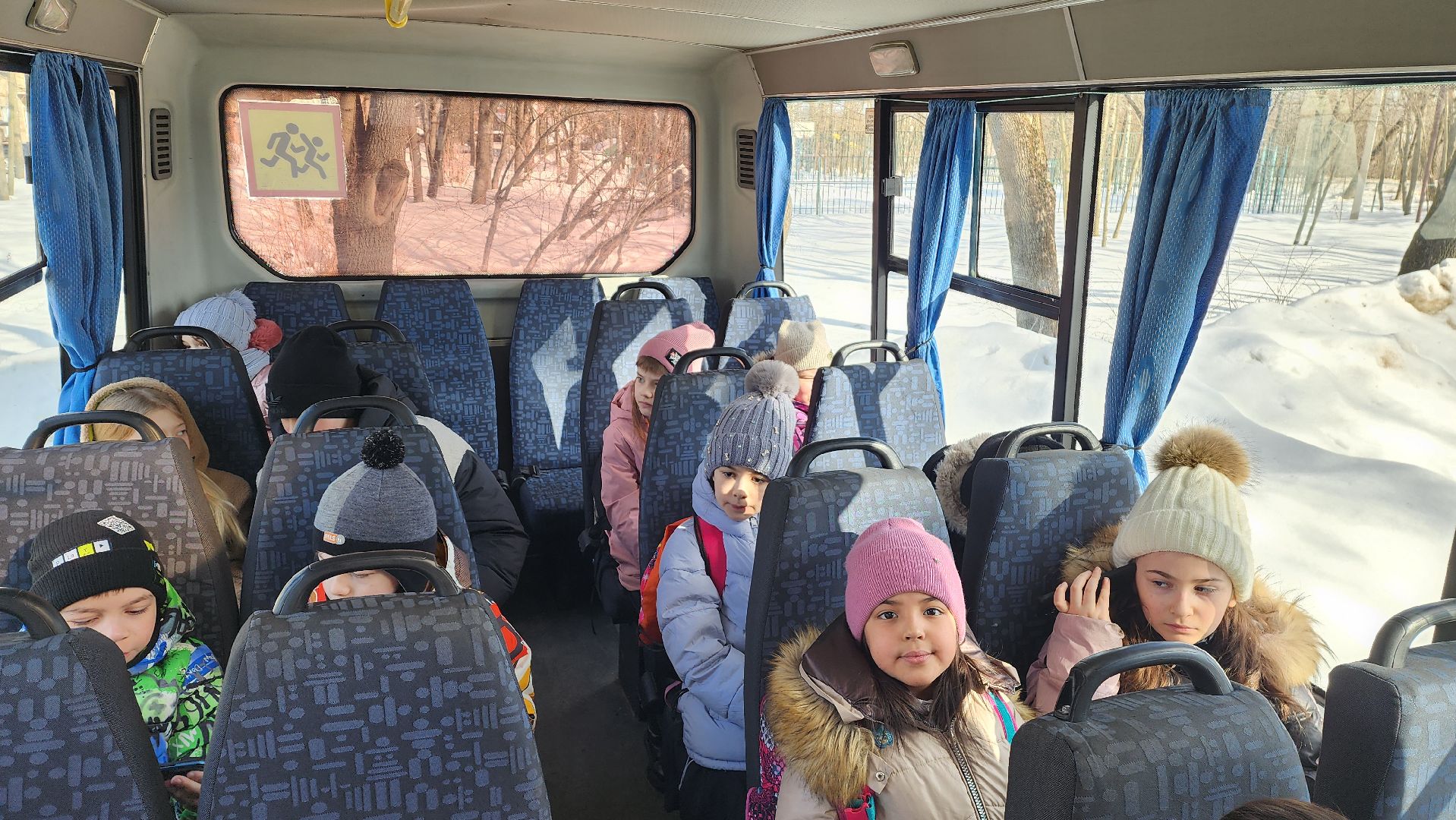 Подмосковье, Городской округ Пушкинский, Образование, Капремонт, Дети,