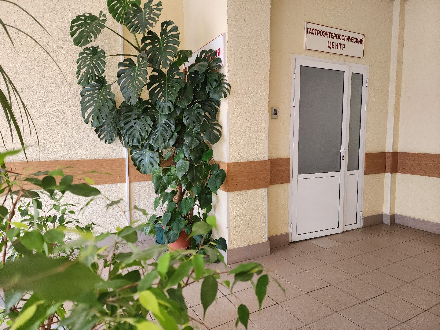 Подольск, Медицина, Гастроэнтерологический центр, моники,