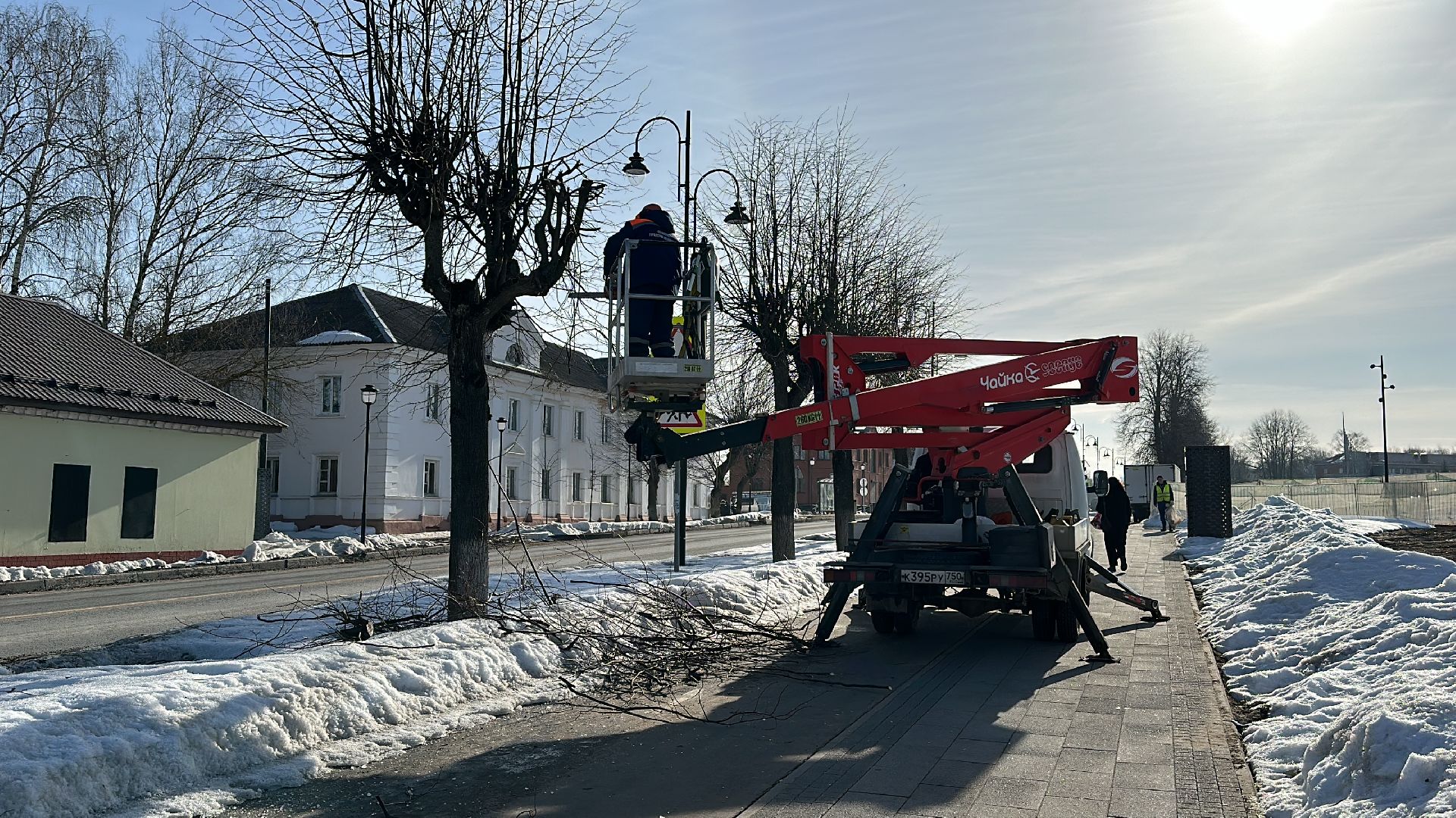 Клин, общество, опиловка деревьев, ЖКХ,