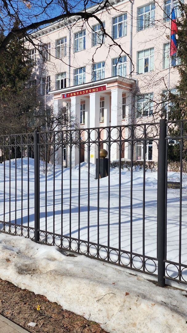 гимназия №1, Алина Русанова, неделя добрых дел, маскировочные сети, плетение сетей, Жуковяз,