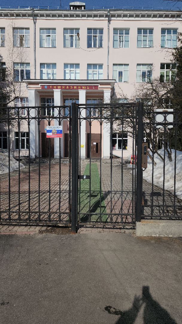 гимназия №1, Алина Русанова, неделя добрых дел, маскировочные сети, плетение сетей, Жуковяз,